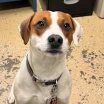 Thumbnail photo of Murphy  #3