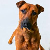 Thumbnail photo of Copper 1424-25 #2