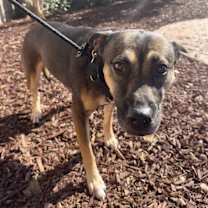 Thumbnail photo of Eva #1