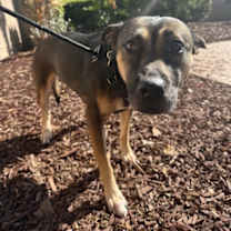 Thumbnail photo of Eva #2