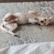 Thumbnail photo of Rickie #4