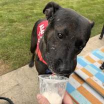 Thumbnail photo of MIA #3