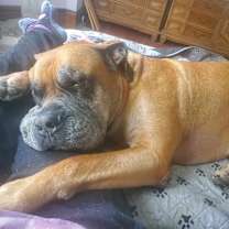 Thumbnail photo of Isla #3