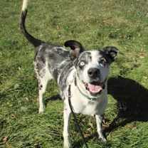 Thumbnail photo of Angel #2