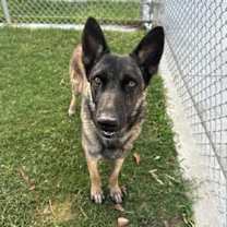 Thumbnail photo of KONA #3