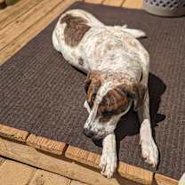 Thumbnail photo of Danny #2