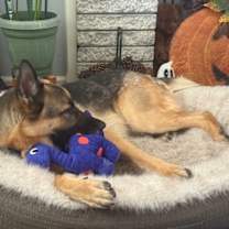 Thumbnail photo of Max #3