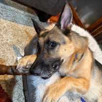 Thumbnail photo of Max #4