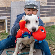 Thumbnail photo of Jif #2