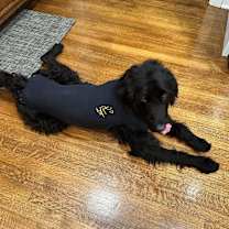 Thumbnail photo of Vincenzo #4