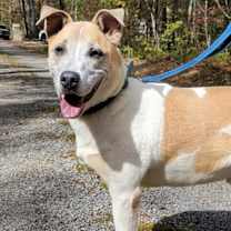 Thumbnail photo of Pax #1