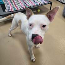 Thumbnail photo of Maxine #2