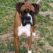 Thumbnail photo of Leyla #1