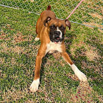 Thumbnail photo of Leyla #2