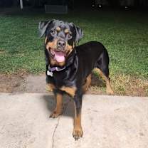 Thumbnail photo of Simone #3