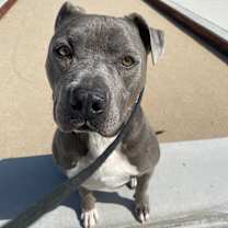 Thumbnail photo of Brady #1