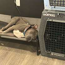 Thumbnail photo of Brady #3