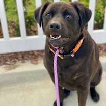 Thumbnail photo of Suki #4