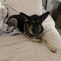 Thumbnail photo of Zeus #2