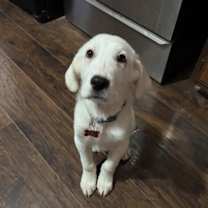 Thumbnail photo of Kaleb #1