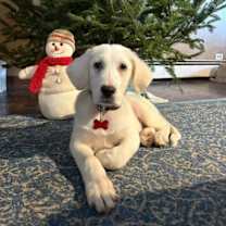 Thumbnail photo of Kaleb #2