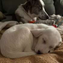 Thumbnail photo of Kaleb #3