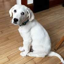 Thumbnail photo of Kaleb #4