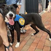 Thumbnail photo of Jonji #4