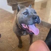 Thumbnail photo of Zeus Mulligan #3