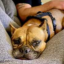 Thumbnail photo of Ellie #1