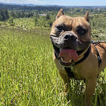 Thumbnail photo of Ellie #2