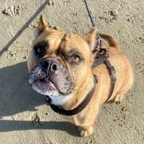 Thumbnail photo of Ellie #3