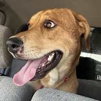 Thumbnail photo of Billy Boy #3