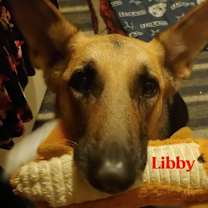 Thumbnail photo of Libby #2