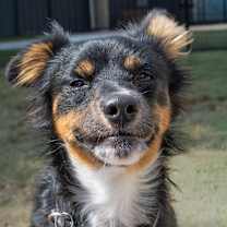 Thumbnail photo of Hubble #4