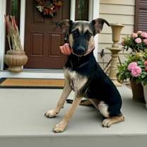 Thumbnail photo of Morticia #1