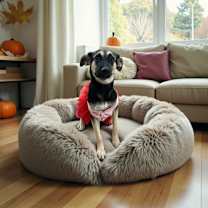 Thumbnail photo of Morticia #2