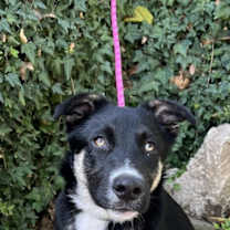 Thumbnail photo of Kenny #1