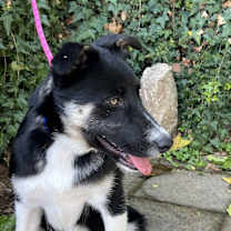 Thumbnail photo of Kenny #2