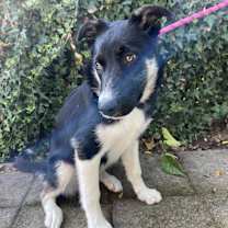 Thumbnail photo of Kenny #3