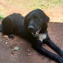 Thumbnail photo of King #2