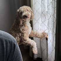 Thumbnail photo of Mitch #2