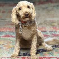 Thumbnail photo of Mitch #3