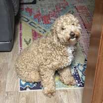 Thumbnail photo of Mitch #4