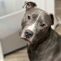 Thumbnail photo of King #1