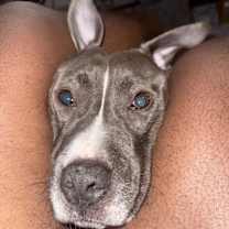 Thumbnail photo of King #3