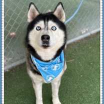 Thumbnail photo of LUKE #3