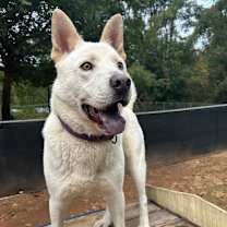 Thumbnail photo of Mayson #1