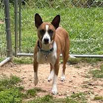 Thumbnail photo of Perri #2