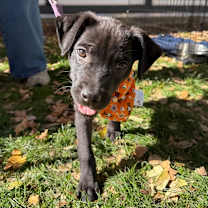 Thumbnail photo of Lisa #1